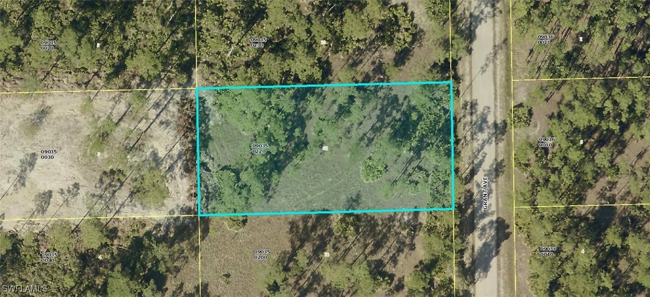2219 Grant Avenue Alva, FL 33920 - Photo 1 of 5 a view of a yard with a lake view