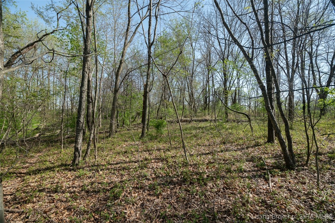 7380 Navilleton Road Floyds Knobs, IN 47119 - Photo 66 of 69
