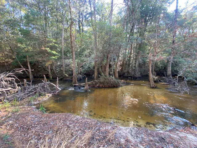 a view of a chairs and table in backyard