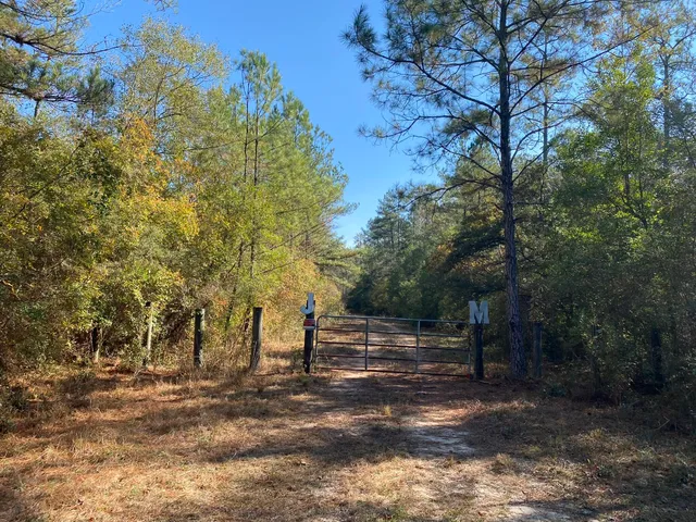 a view of road with trees