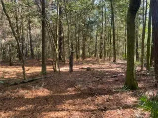 a view of outdoor space with trees