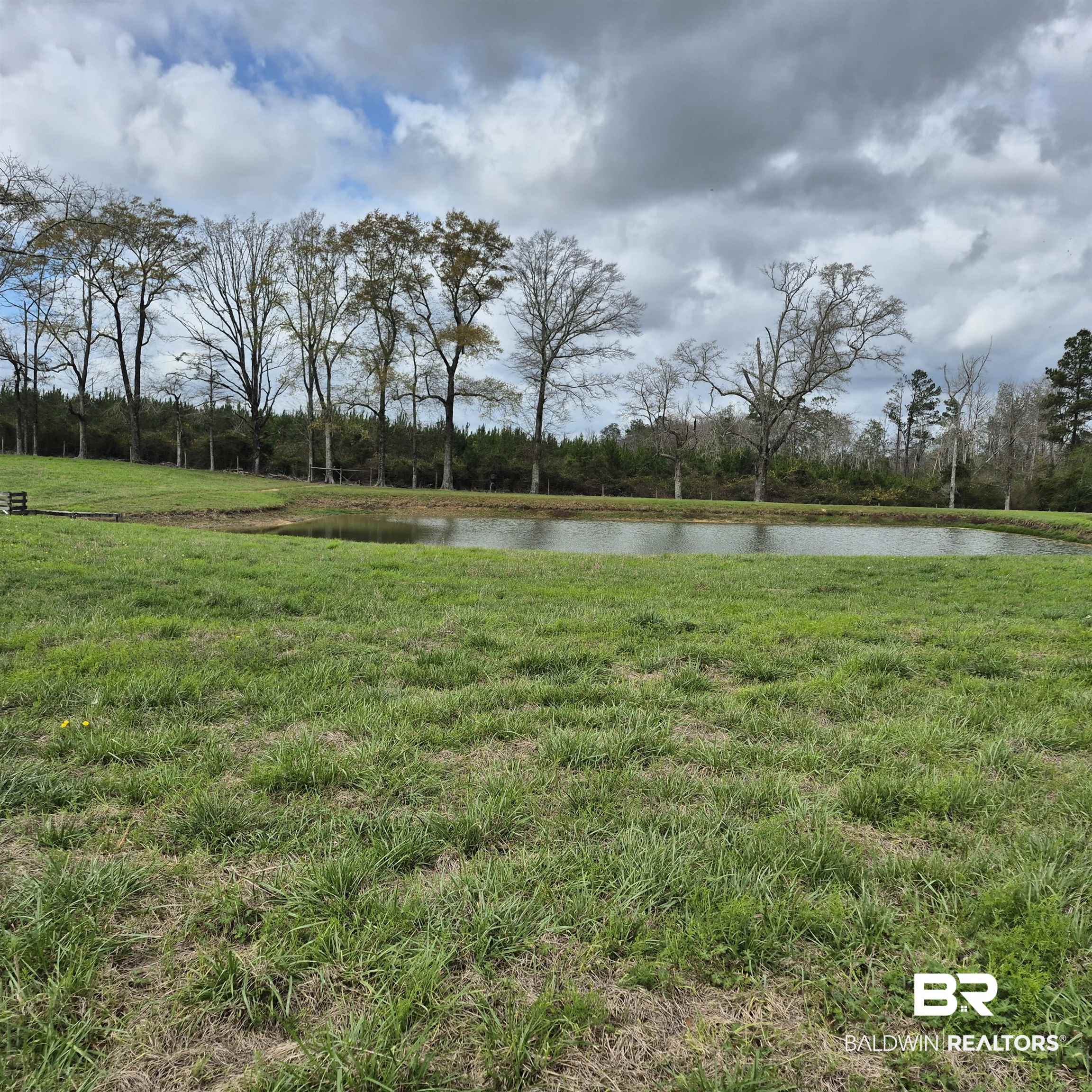 26635 Highway 41 Range, AL 36473 - Photo 55 of 74 View of green lawn with a water view