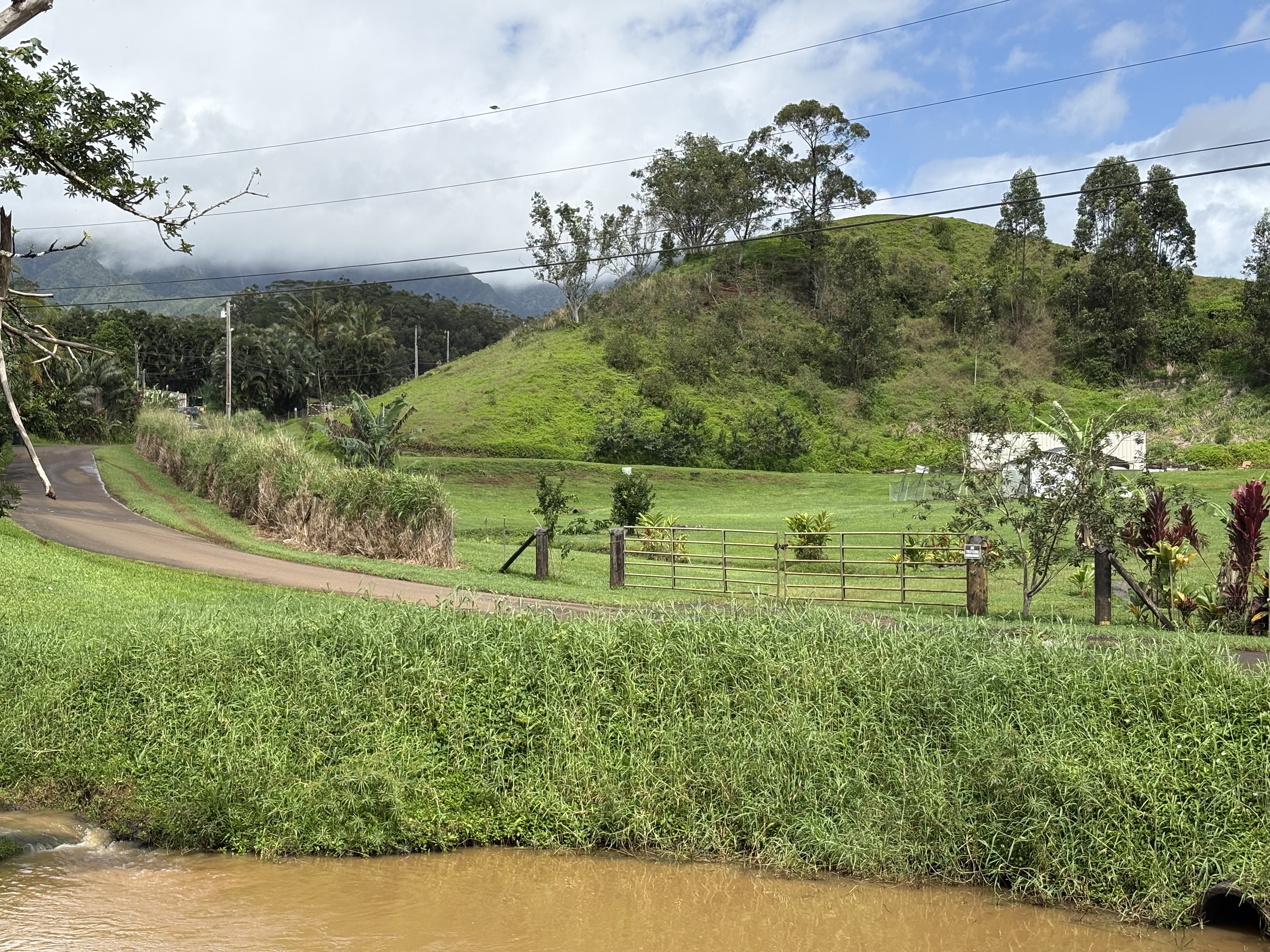 6630 Kipapa Road Kapaa, HI 96746 - Photo 5 of 20 a view of a grassy area