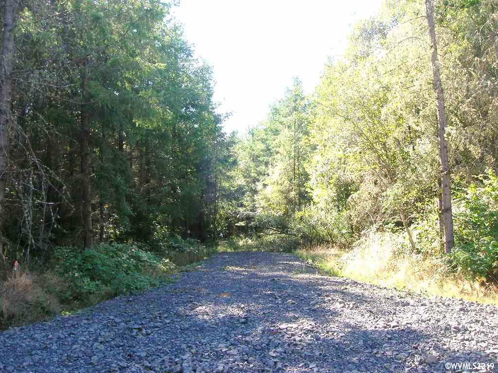 Robinette (lot 1) Road St. Helens, OR 97051 - Photo 9 of 13