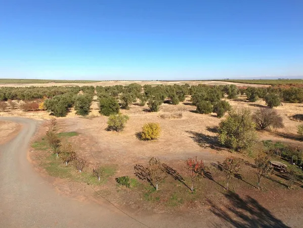 $5,000 | 27643 County Road 88, Winters, CA 95694