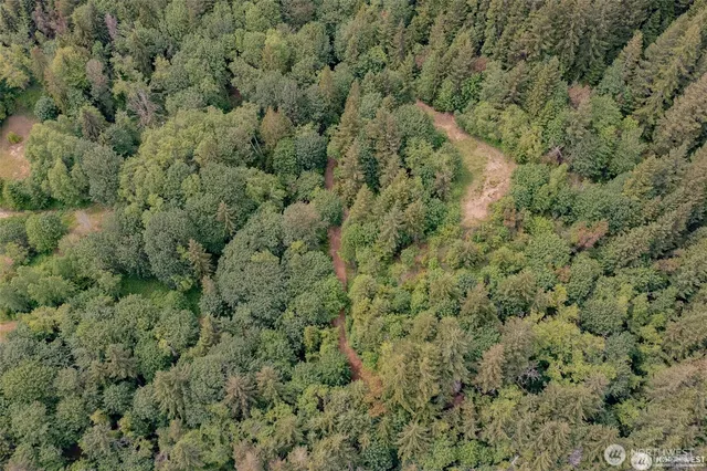 a view of a lush green space
