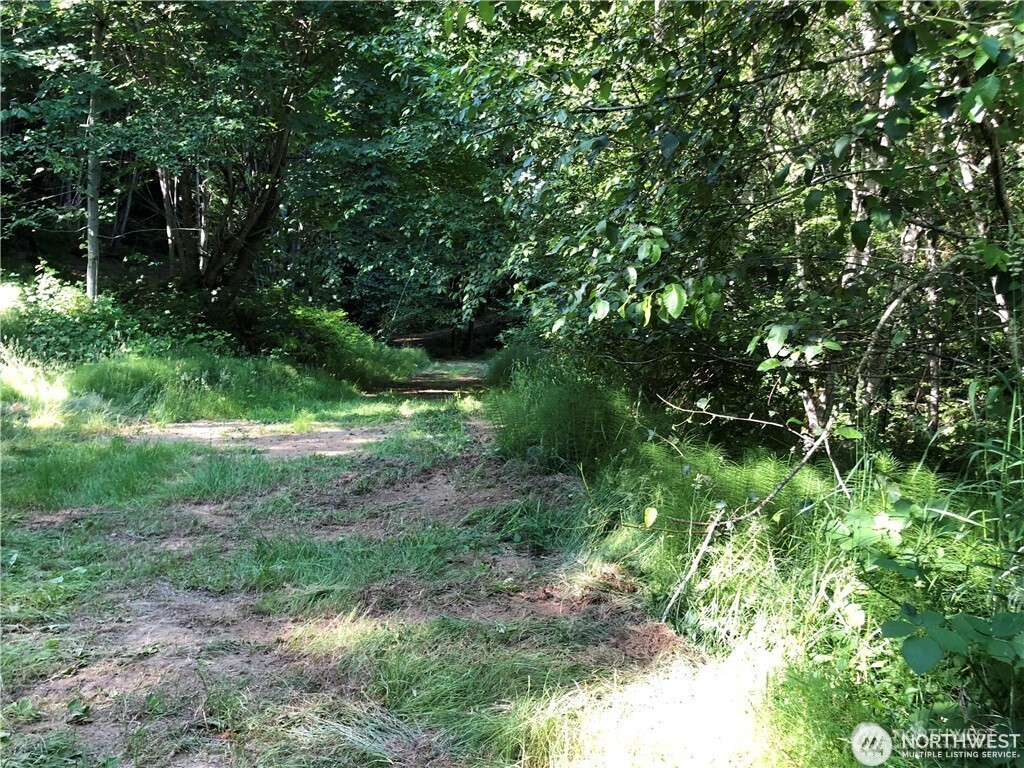 3760 Highway 101 Florence, OR 97439 - Photo 15 of 38 a view of a lush green space