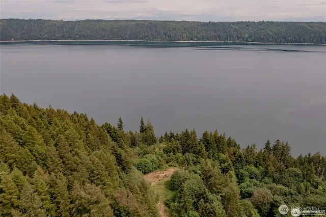 a view of a yard with large trees