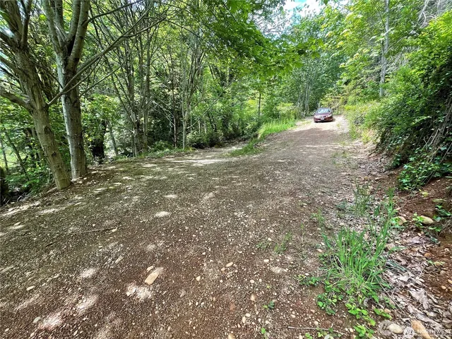 a view of a backyard with trees