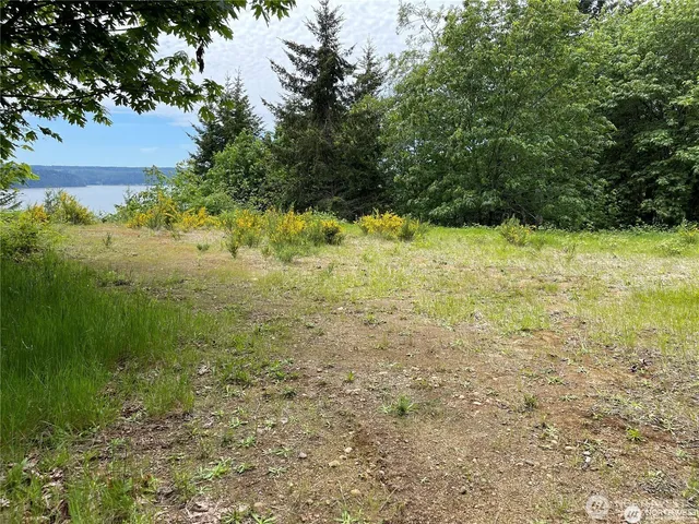 a view of a yard with a house and trees