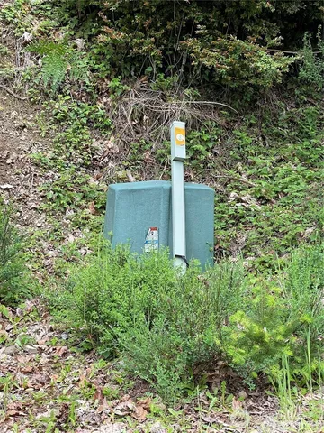 a view of a plants with a house