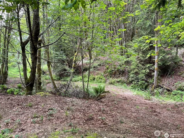 a view of a yard with a trees