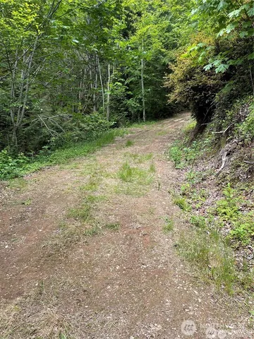 a backyard of a house with lots of trees