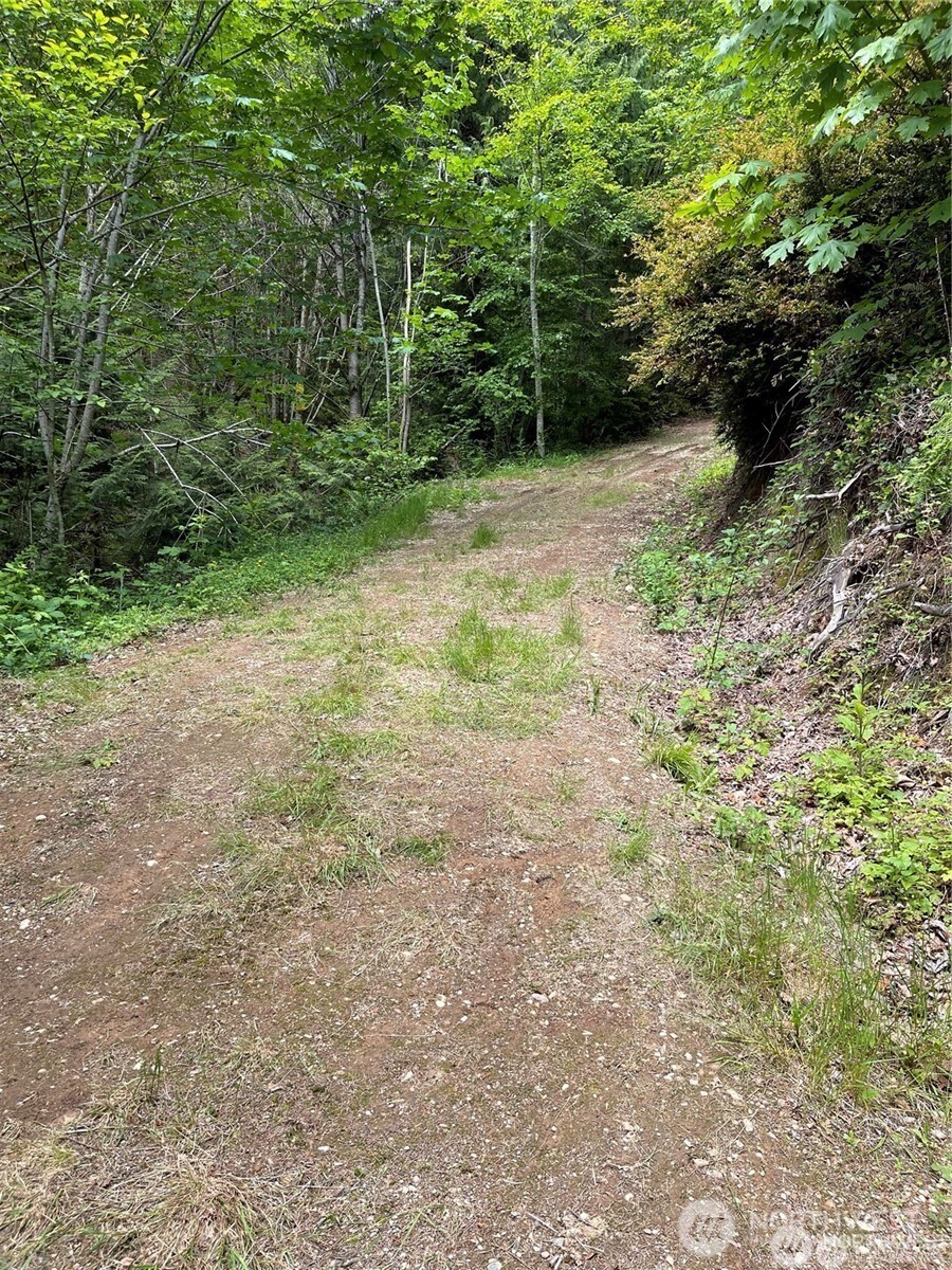 3760 Highway 101 Florence, OR 97439 - Photo 23 of 38 a view of a yard with a trees