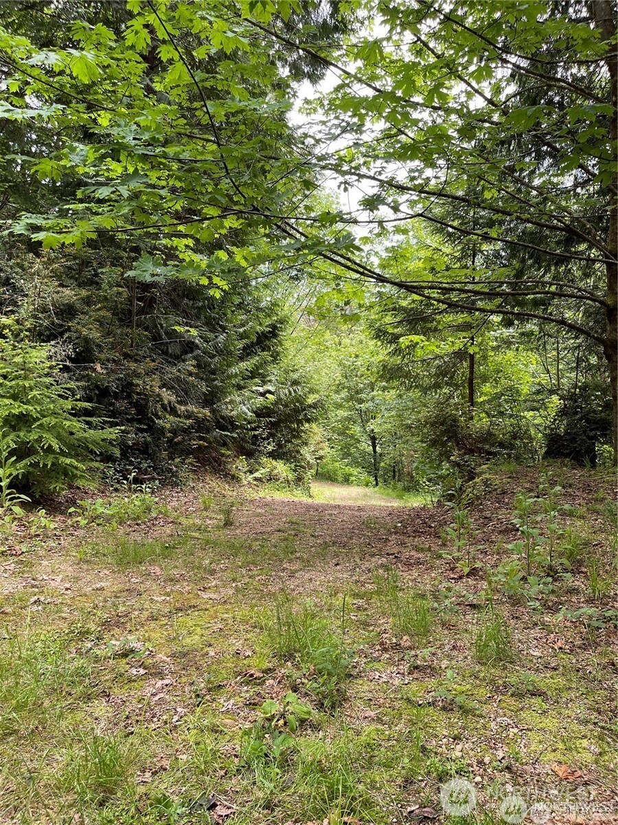 3760 Highway 101 Florence, OR 97439 - Photo 26 of 38 a view of yard