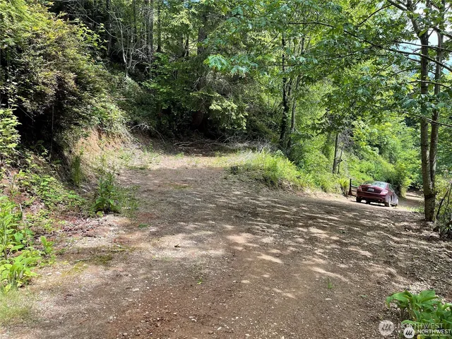 a view of outdoor space and yard