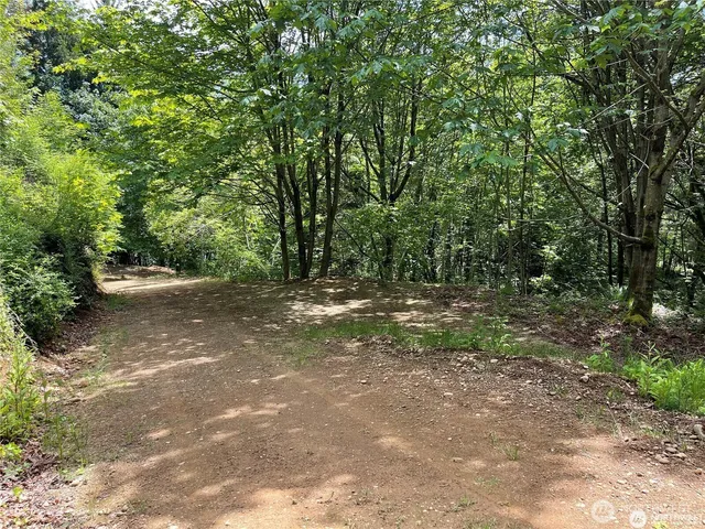 a view of a field with plants and trees