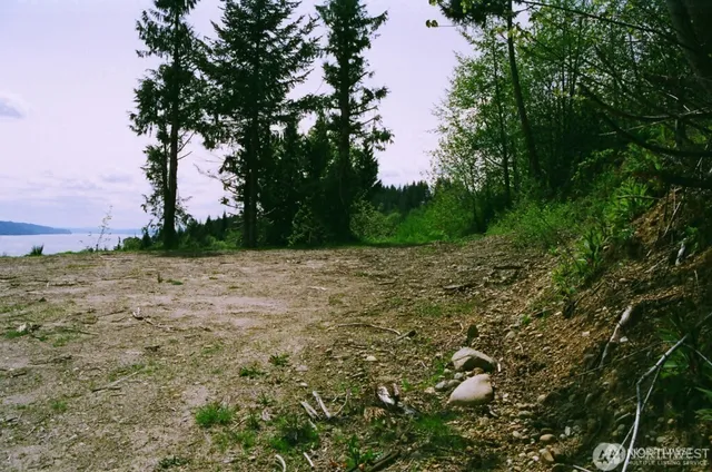 a view of a lake and green space