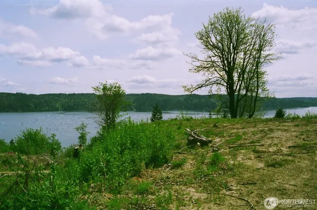 a view of a lake with a city