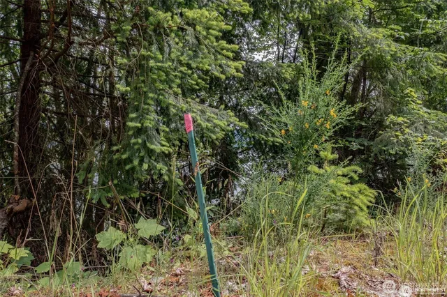 a view of a city with a mountain