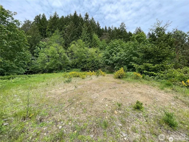 an aerial view of residential house with outdoor space and trees all around