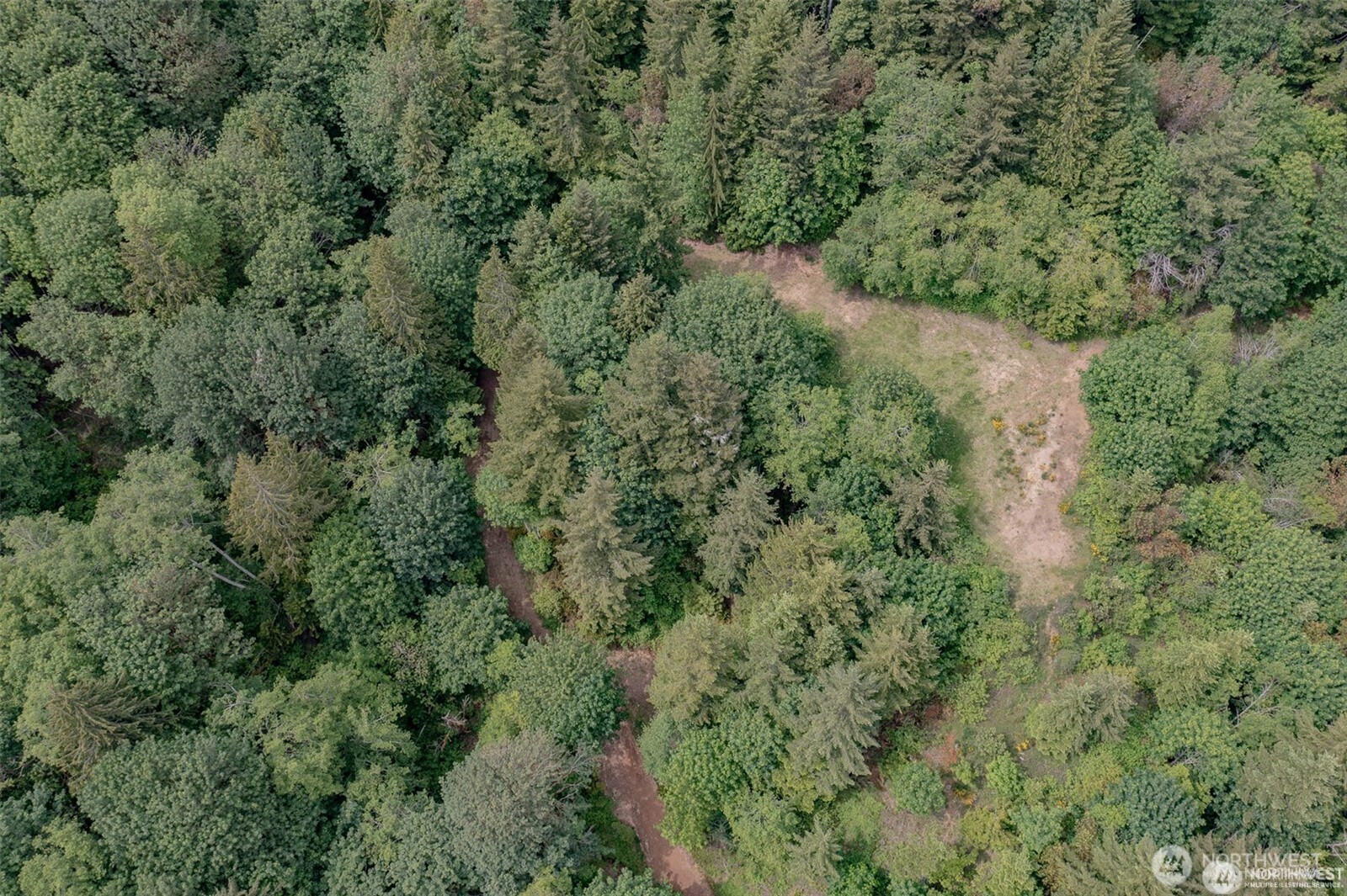 3760 Highway 101 Florence, OR 97439 - Photo 10 of 38 an aerial view of residential house with outdoor space and trees all around