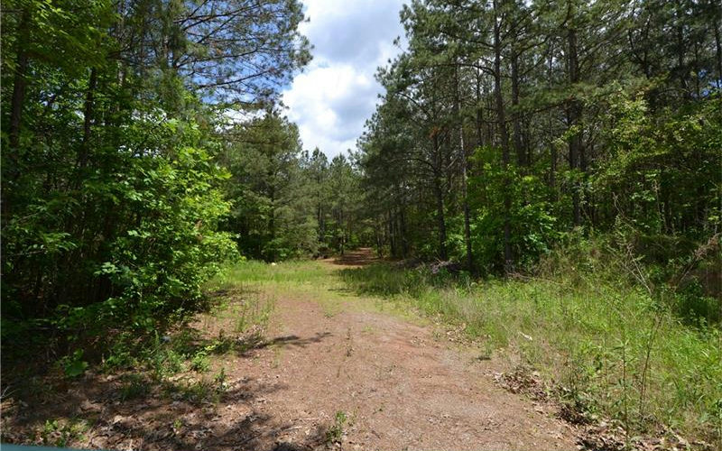1015 Ball Ground Road Ball Ground, GA 30107 - Photo 1 of 1 Main View