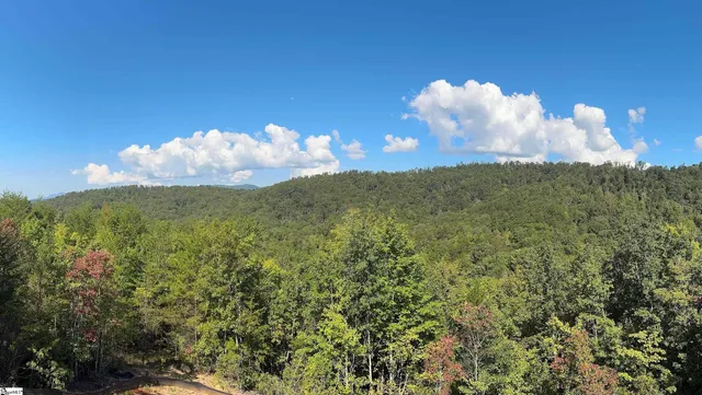 $3,399,999 | 15 Chicory Way, Marietta, SC 29661