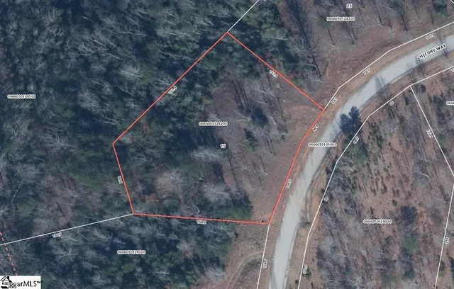 $3,399,999 | 15 Chicory Way, Marietta, SC 29661