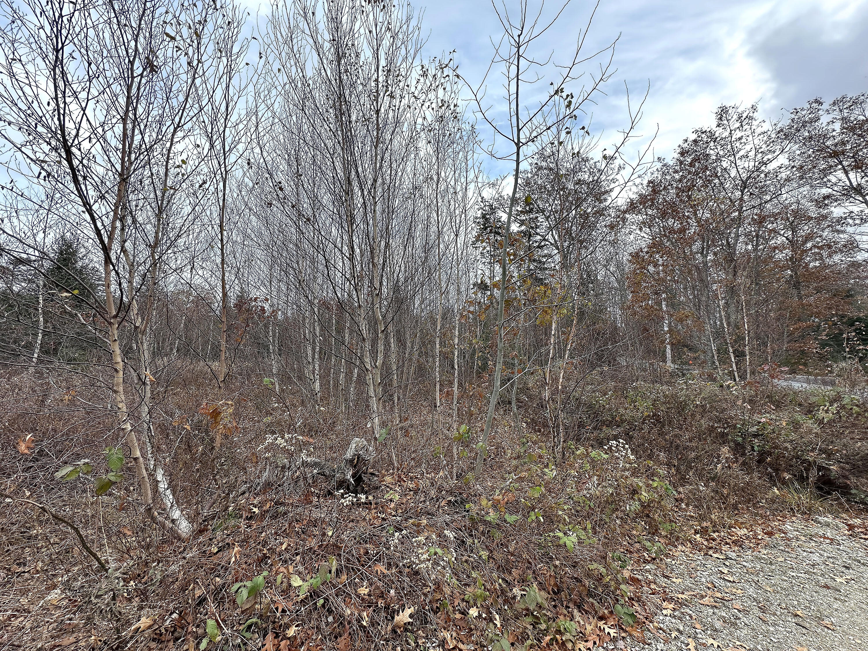 533 A Range Road Blue Hill, ME 04614 - Photo 25 of 26 533A RangeRoad_024