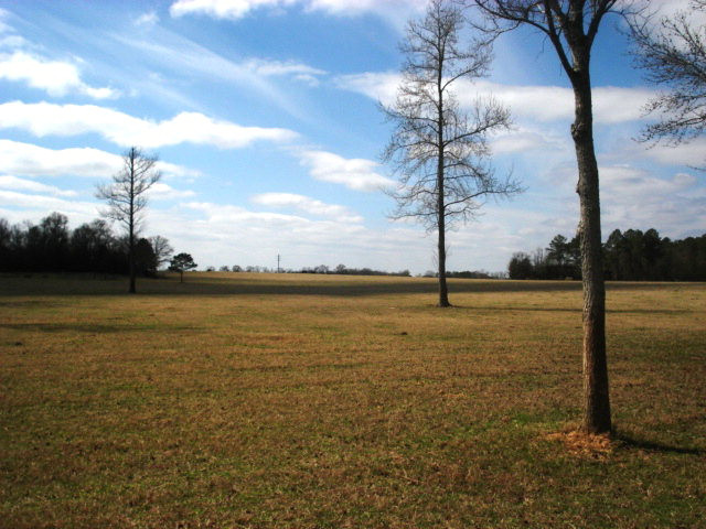 5337 Highway 296 Stapleton, GA 30823 - Photo 1 of 1 Main View