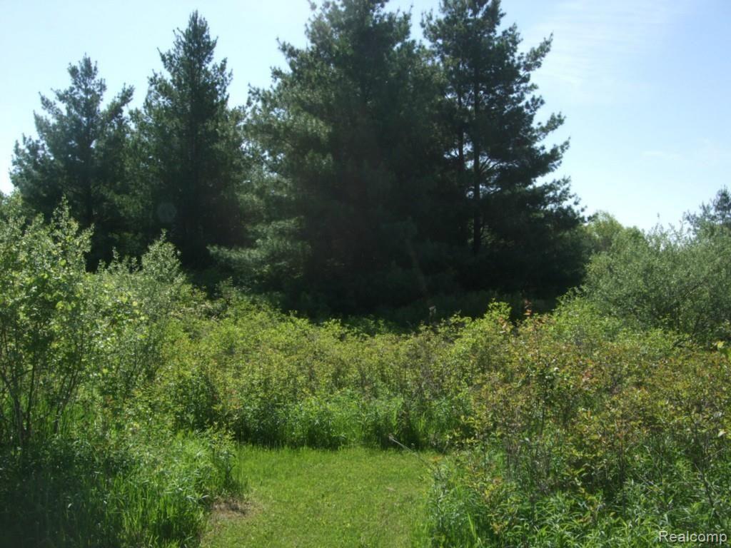7470 Gibbons Road Jeddo, MI 48032 - Photo 4 of 5 DSCF1639.jpg