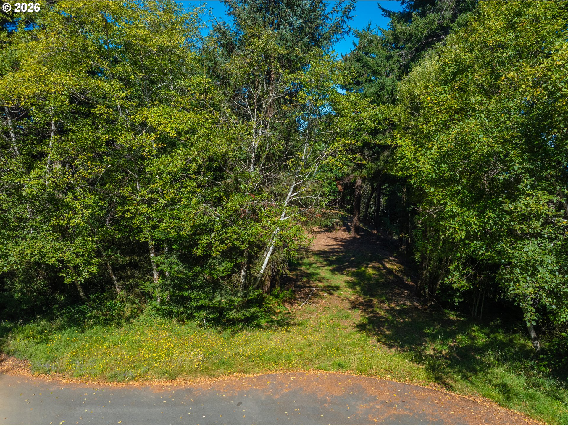 Starkweather Road, Unit 101 Gold Beach, OR 97444 - Photo 9 of 12 Gallery Image 9