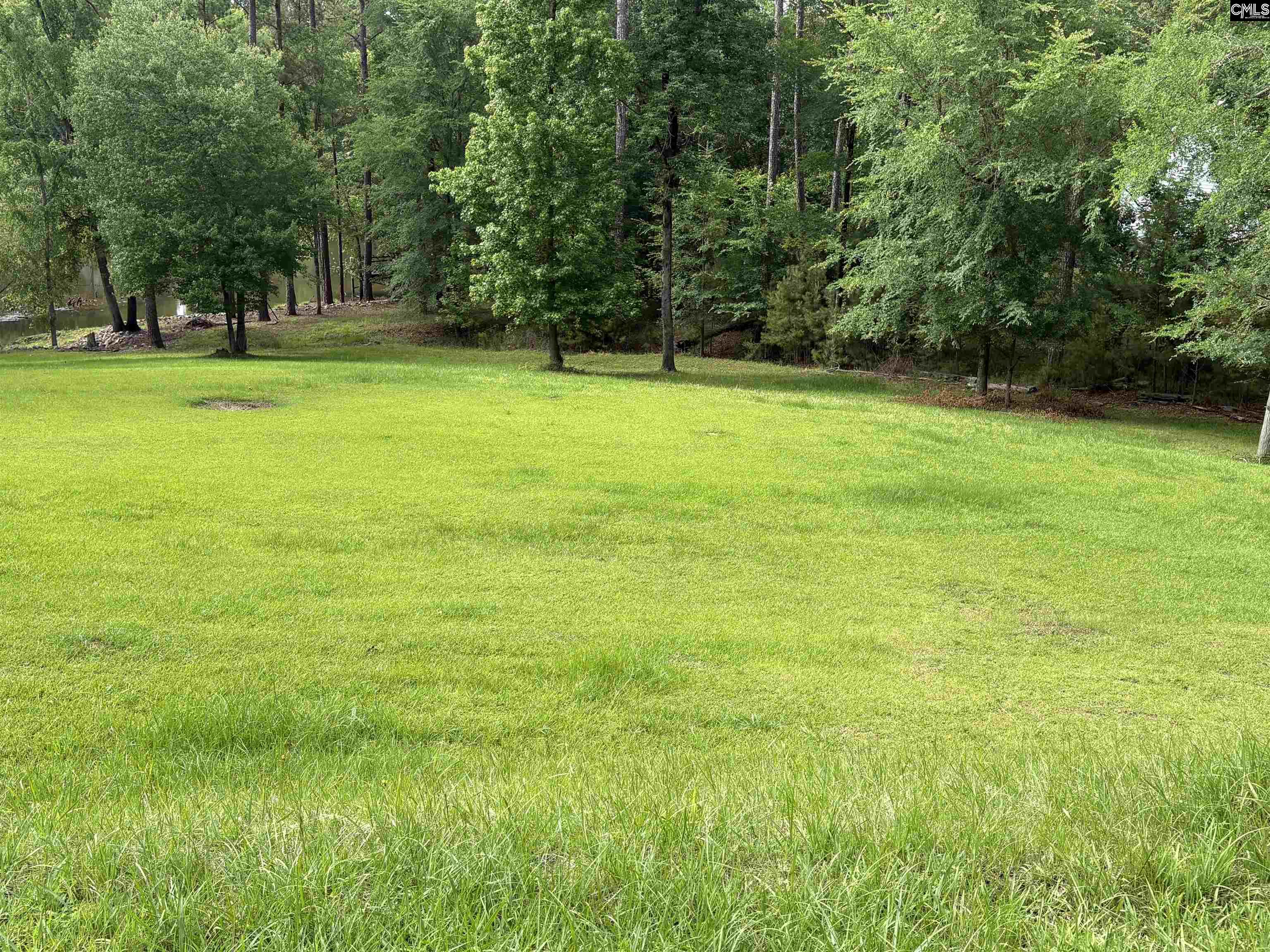 2665 Rolling Hills Road Ridgeway, SC 29130 - Photo 2 of 5