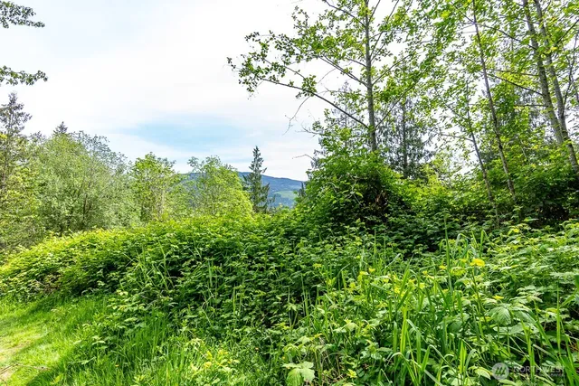 $110,000 | 333 West Alder Drive, Sedro-Woolley, WA 98284