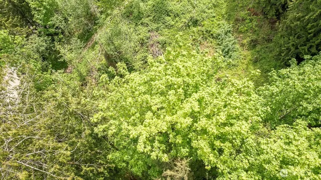 $110,000 | 333 West Alder Drive, Sedro-Woolley, WA 98284