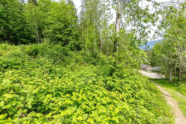 $110,000 | 333 West Alder Drive, Sedro-Woolley, WA 98284