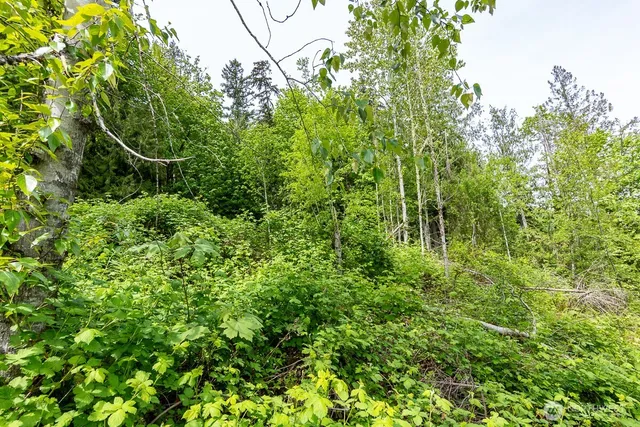 $110,000 | 333 West Alder Drive, Sedro-Woolley, WA 98284