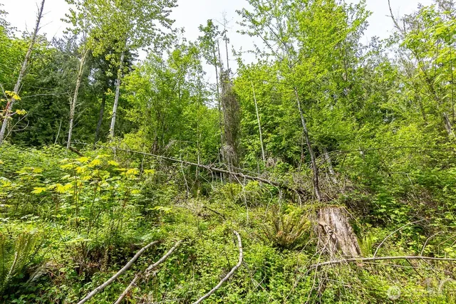 $110,000 | 333 West Alder Drive, Sedro-Woolley, WA 98284