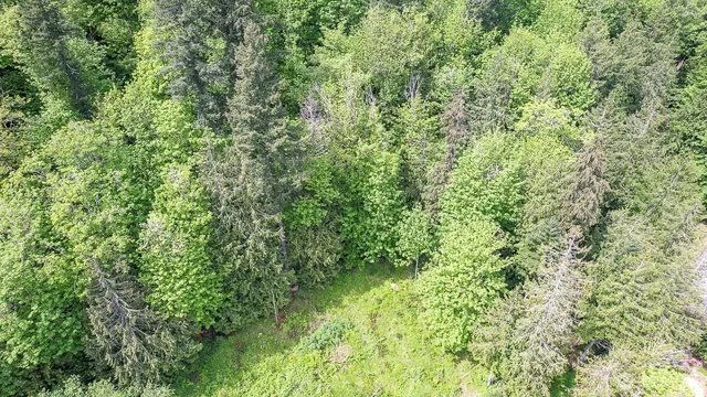 $110,000 | 333 West Alder Drive, Sedro-Woolley, WA 98284