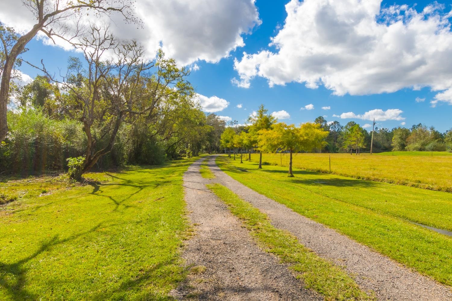 28662 Malkoskie Road Elberta, AL 36530 - Photo 42 of 42