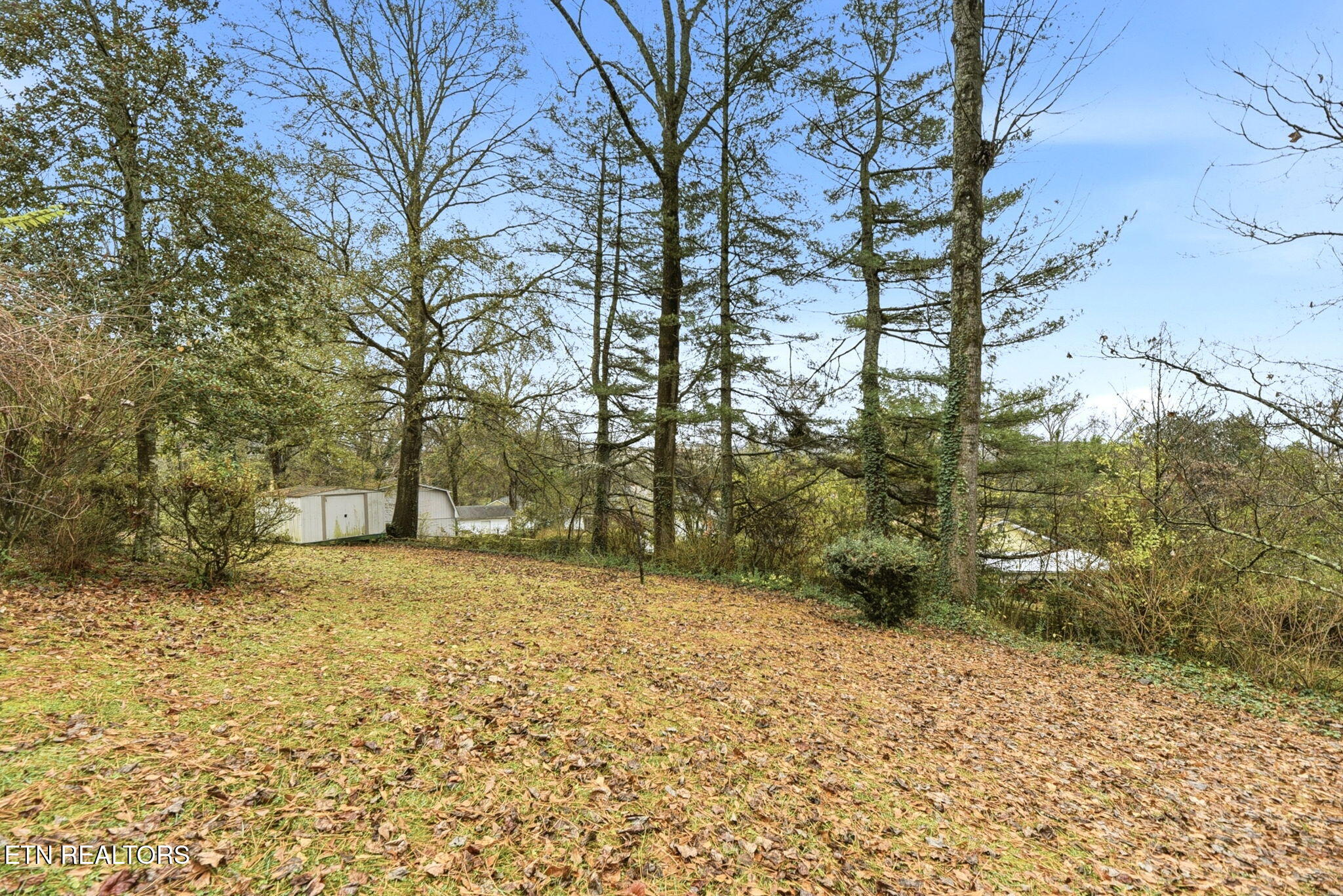 121 West Maiden Lane Oak Ridge, TN 37830 - Photo 35 of 41 35-web-or-mls-426e3200-a0fc-49fe-afc6-13