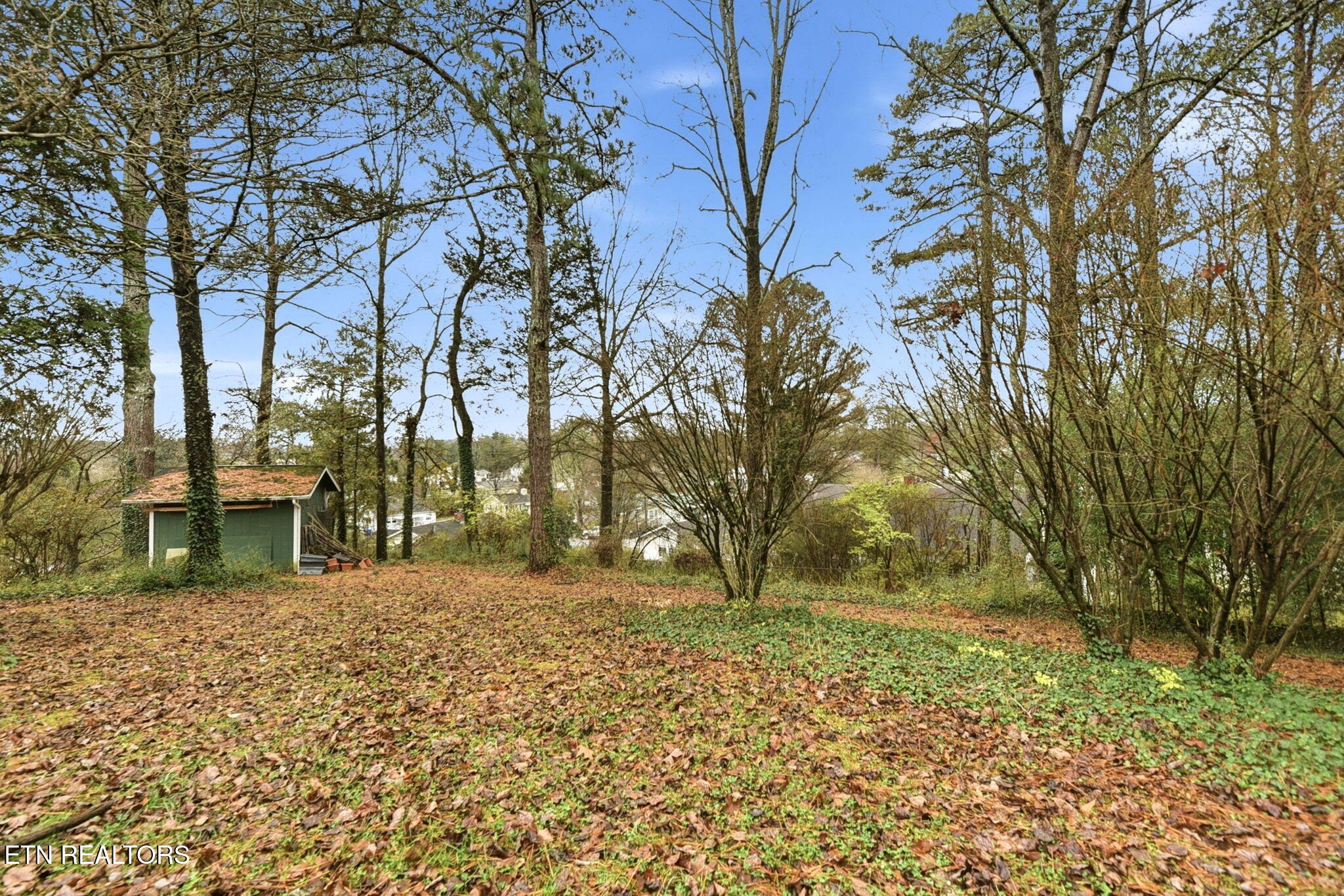 121 West Maiden Lane Oak Ridge, TN 37830 - Photo 41 of 41 41-web-or-mls-51b3ad10-e002-4771-a426-4d