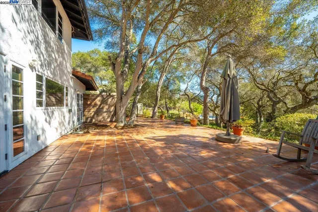 a view of road with large trees