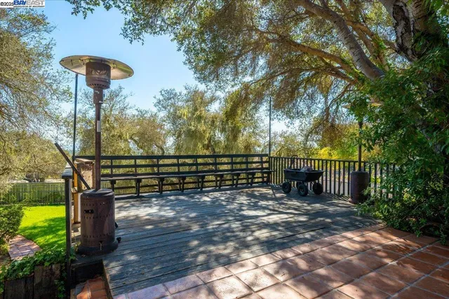 a view of a backyard with large trees