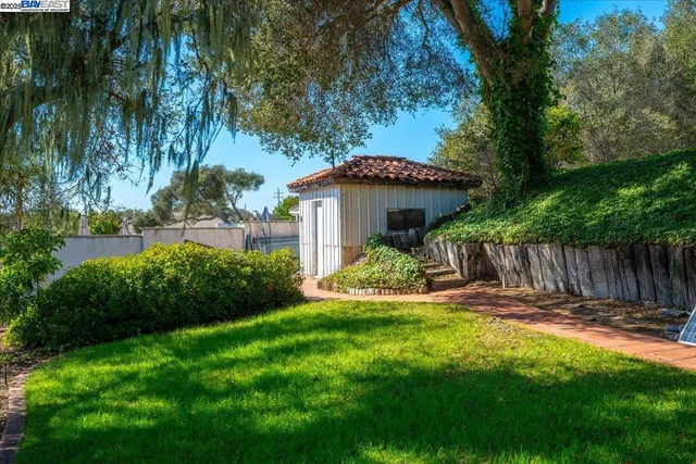 a view of a yard with a tree