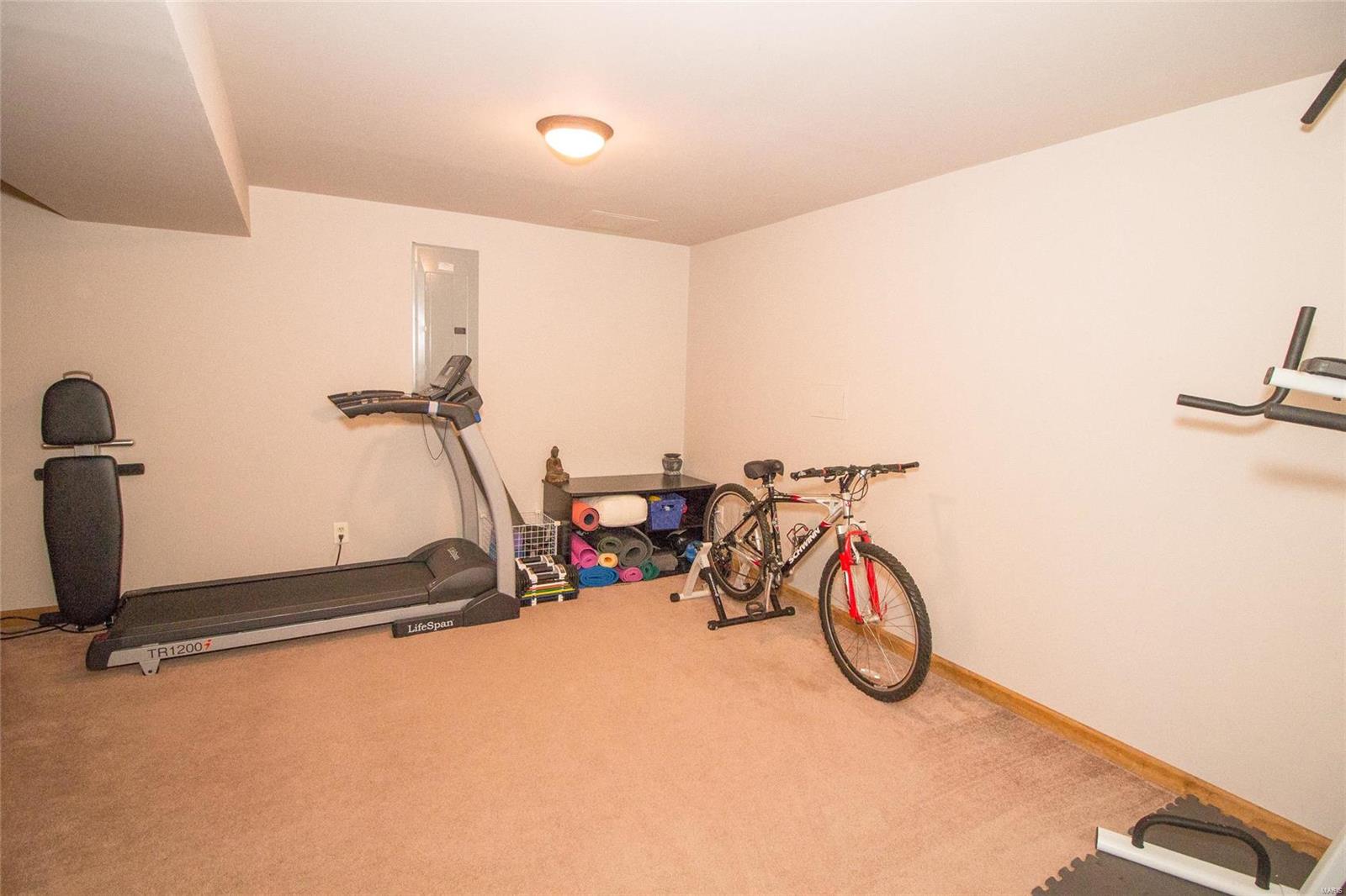 281 Grover Road St. Louis, MO 63125 - Photo 13 of 26