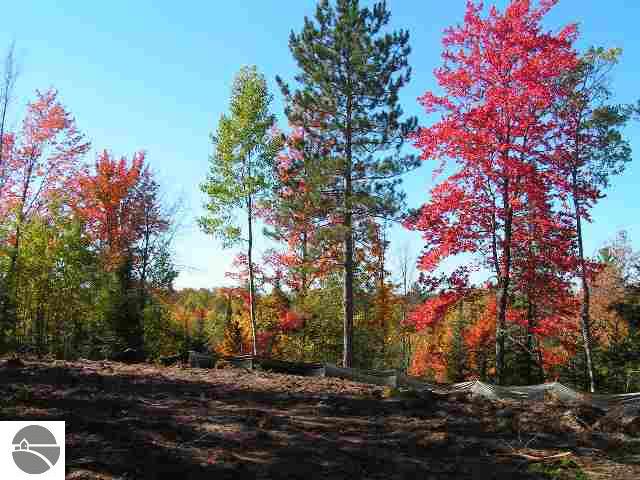 10 South Garfield Road Kingsley, MI 49649 - Photo 3 of 5 1649098-2.JPG