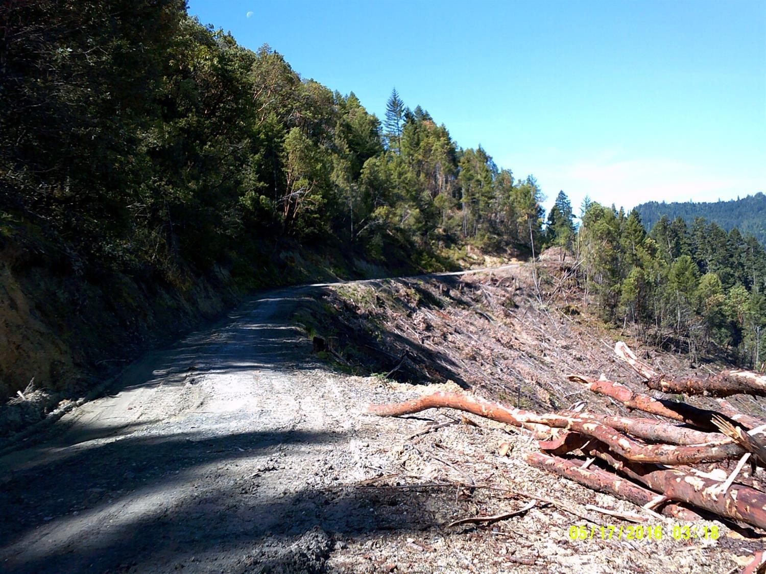 Road into property