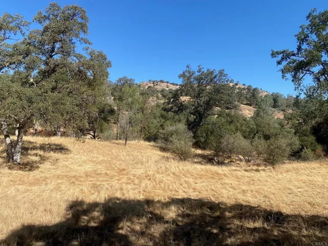 a view of a yard covered with snow in the background